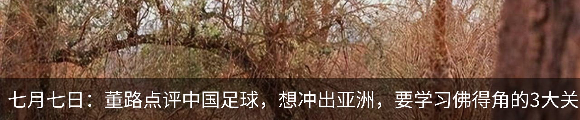 内页banner